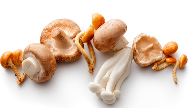 wanneer champignons in seizoen eten?